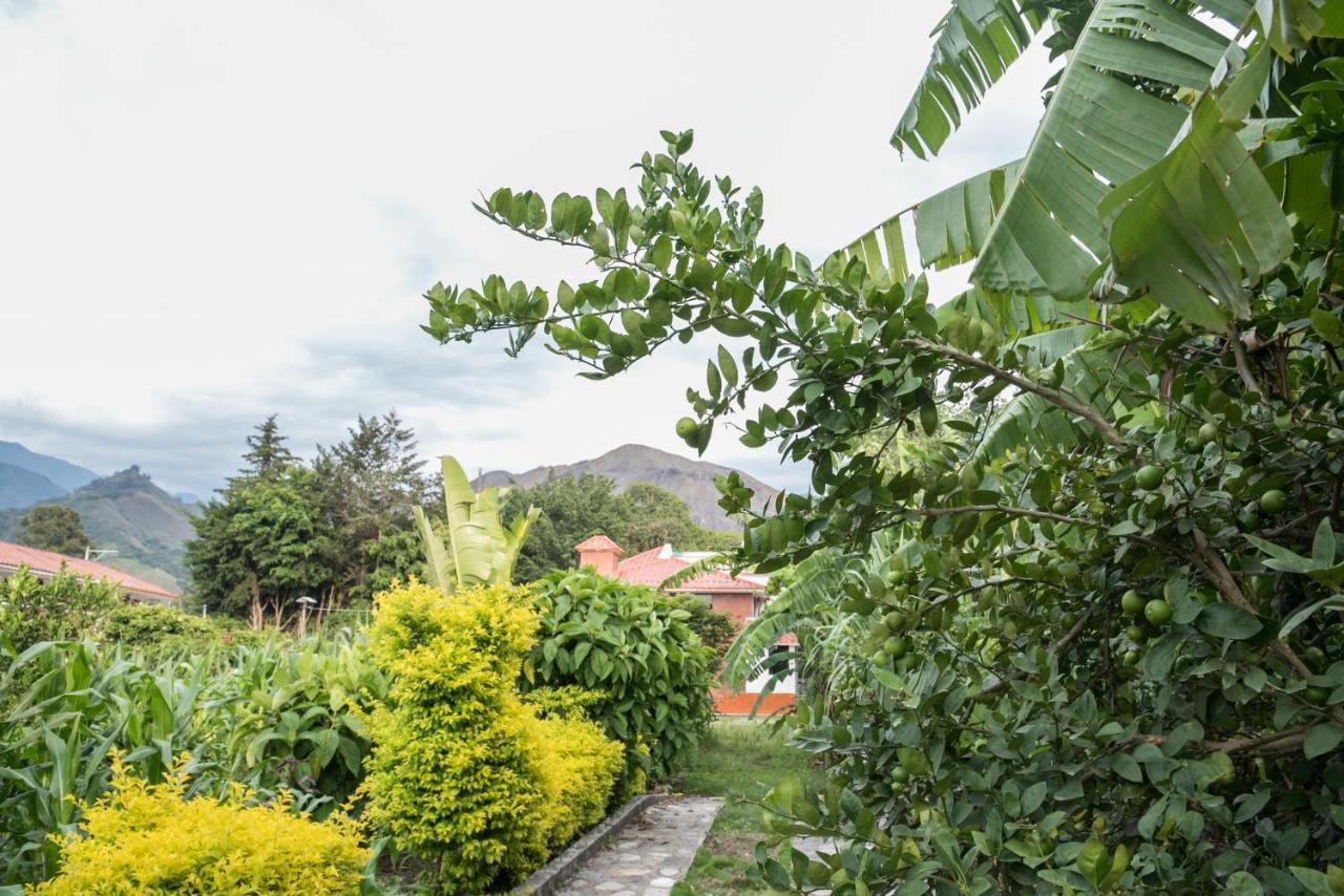 Garden House Hotel Вилкабамба Екстериор снимка
